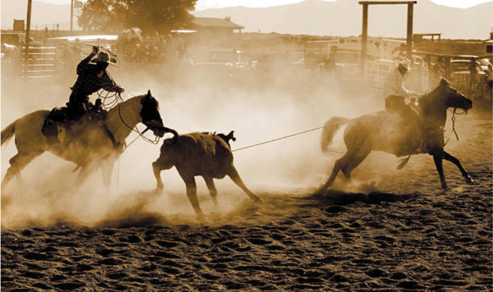 More Info for Mike White Team Roping