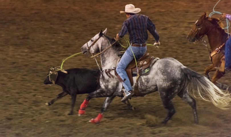 More Info for Cowboy Classic Productions