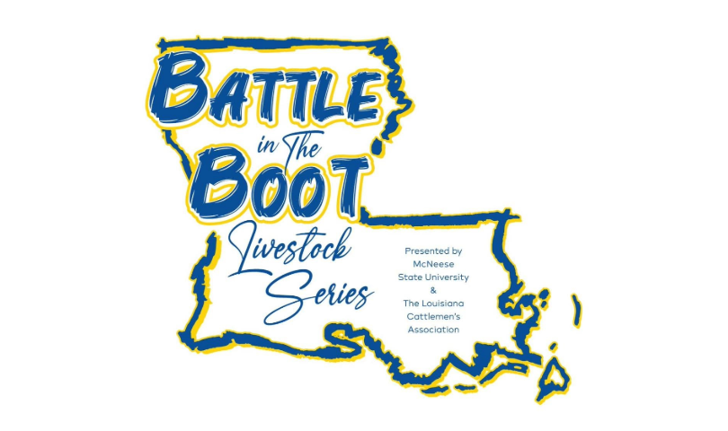 More Info for Battle in the Boot